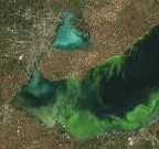Satellite image of lake Erie algal bloom