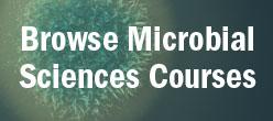 Browse Microbial Sciences Courses Link